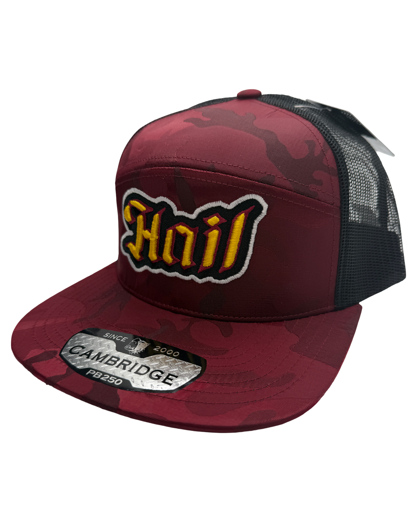 Hail Burgundy Camo Cap